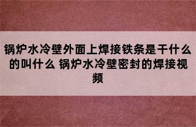 锅炉水冷壁外面上焊接铁条是干什么的叫什么 锅炉水冷壁密封的焊接视频